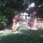 I Mari Torpè