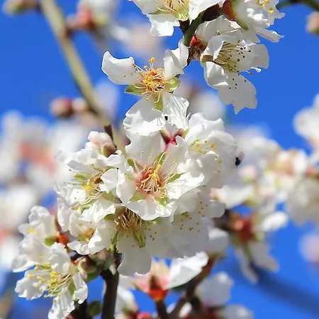 I Mari Bed & Breakfast