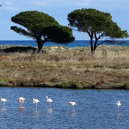 I Mari 3* Torpè
