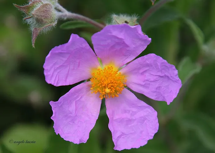 I Mari Bed and breakfast 3*