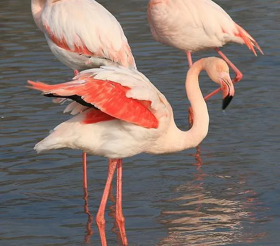 Bed and breakfast I Mari