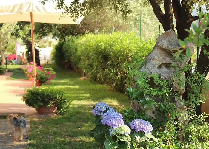 Bed and breakfast I Mari