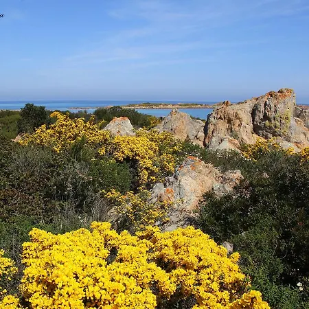 Bed & Breakfast I Mari Torpe