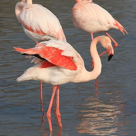 Bed & Breakfast I Mari