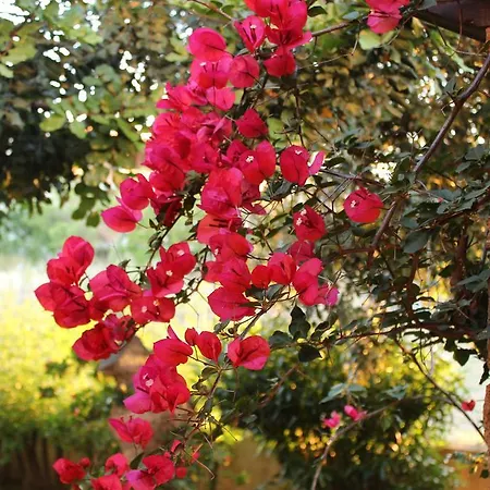 Bed & Breakfast I Mari