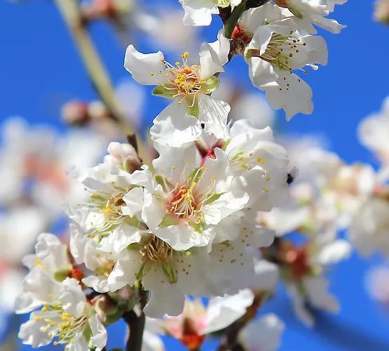 I Mari Bed & Breakfast