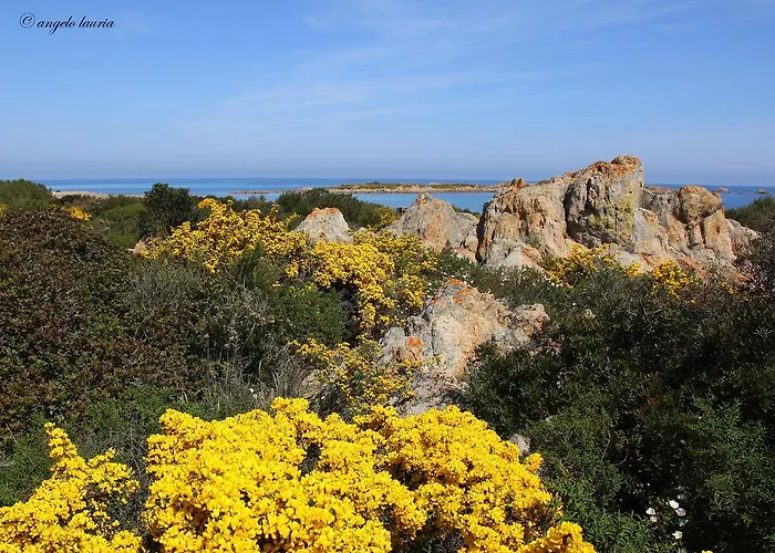 Bed & Breakfast I Mari Torpe