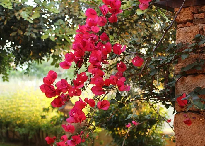 Bed & Breakfast I Mari